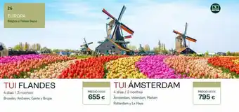 Tui Travel PLC 26 europa bélgica o paises bajos tui flandes 4 días / 3 noches bruselas, amberes, gante y brujas precio desde 655 € tu oferta
