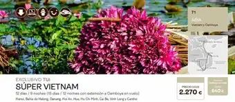 Tui Travel PLC Odovo exclusivo tui súper vietnam 12 días / 9 noches (15 días / 12 noches con extensión a camboya en vuelo) hanoi, bahia d oferta