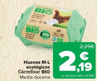 Carrefour Huevos m-l ecológicos carrefour bio oferta