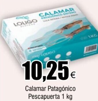 FROIZ Calamar Patagónico Pescapuerta 1 kg oferta
