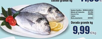 FROIZ Dorada grande kg oferta