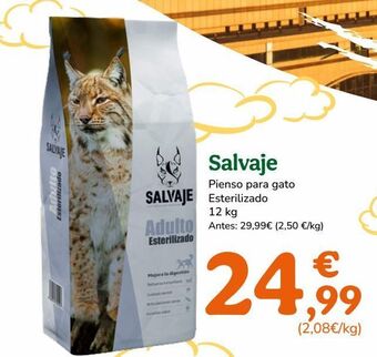 TiendAnimal Pienso para gatos oferta