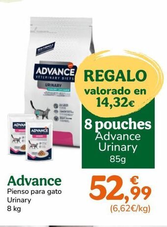 TiendAnimal Pienso para gatos advance oferta