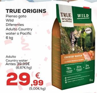 Kiwoko Pienso para gatos oferta