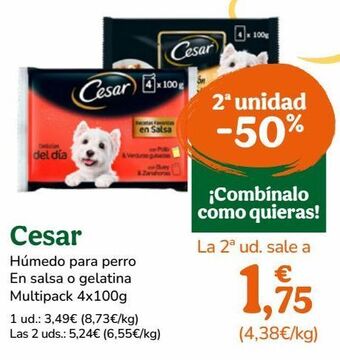 TiendAnimal Comida para perros cesar oferta