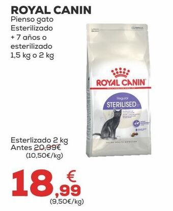 Kiwoko Pienso para gatos royal canin oferta