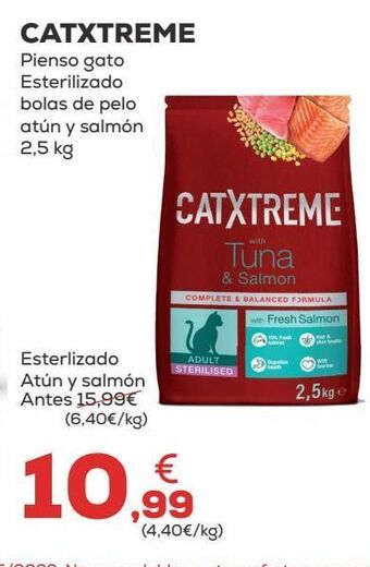 Kiwoko Pienso para gatos oferta