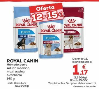 Kiwoko Comida para perros royal canin oferta