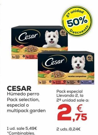 Kiwoko Comida para perros cesar oferta