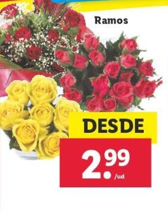 Lidl Ramos oferta