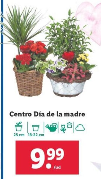 Lidl Centro Día de la madre oferta