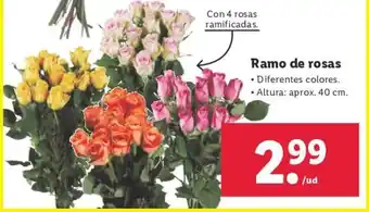 Lidl Ramo de rosas oferta