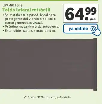 Lidl LIVARNO home Toldo lateral retráctil oferta