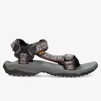 Teva terra