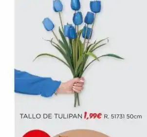 Espaço Casa Tulipanes tulipán oferta