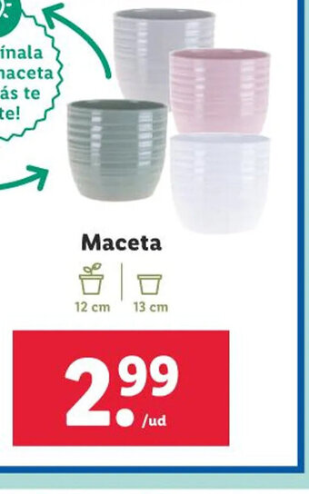 Lidl Maceta oferta