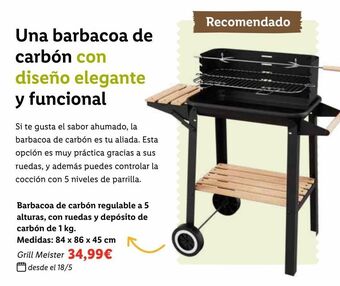 Lidl Barbacoa de carbón oferta