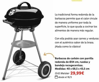 Lidl Barbacoa de carbón oferta