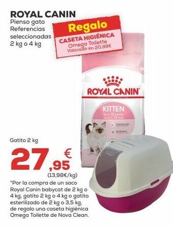 Kiwoko Pienso para gatos royal canin oferta