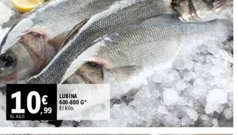 E.Leclerc LUBINA 600-800 G* oferta
