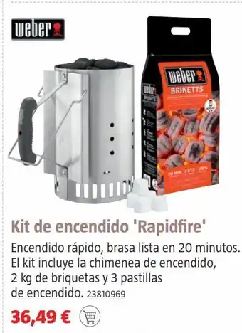 Bauhaus Chimenea encendido +2kg briqu.+6 past. oferta