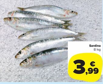 Carrefour Market Sardina oferta