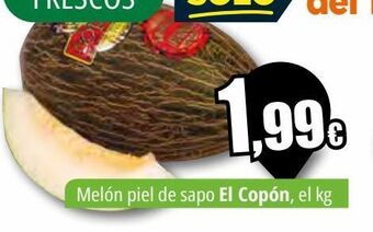 Unide Supermercados Melón piel de sapo el copón oferta