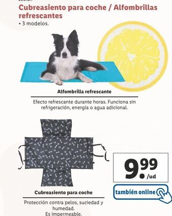 Lidl Cubre asiento coche oferta