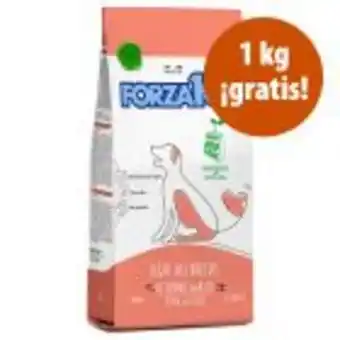 Zooplus Forza10 12,5 kg pienso para perros en oferta: 11,5 + 1 kg ¡gratis! oferta