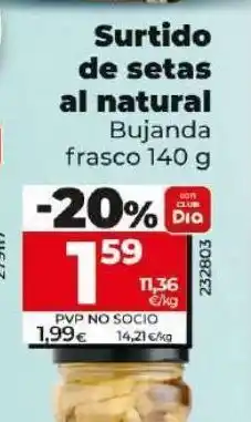 Dia Setas bujanda oferta