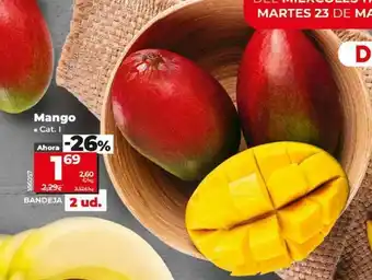Dia Mango de ducha oferta