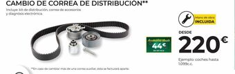 Feu Vert Correa de distribución oferta