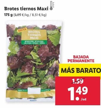 Lidl Ensaladas oferta