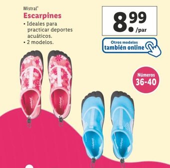 Lidl Escarpines oferta