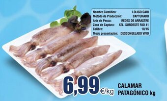 FROIZ CALAMAR PATAGÓNICO kg oferta