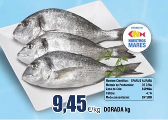 FROIZ DORADA kg oferta