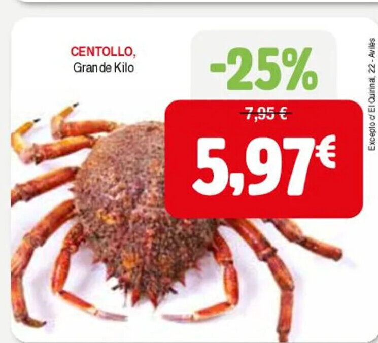 Masymas CENTOLLO, Grande Kilo oferta
