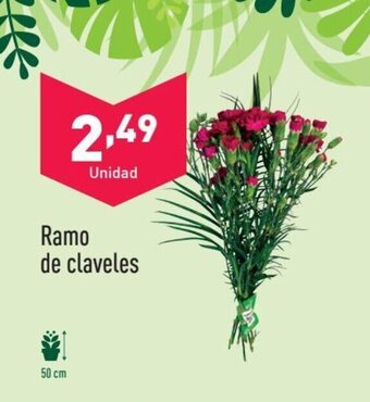 ALDI Ramo de claveles oferta