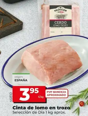 Dia Cinta de lomo en trozo 1kg oferta