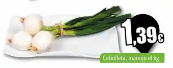 Unide Market Cebolleta, manojo el kg oferta