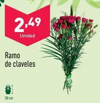 ALDI Claveles oferta