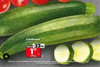 Dia Calabacín Cat t oferta