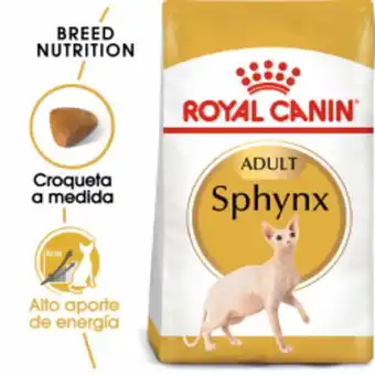 Petclic Royal canin sphynx pienso para gatos de raza sphynx oferta