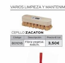 Isolana Cepillos oferta