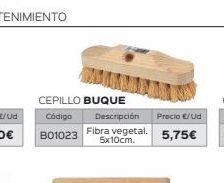 Isolana Cepillos oferta