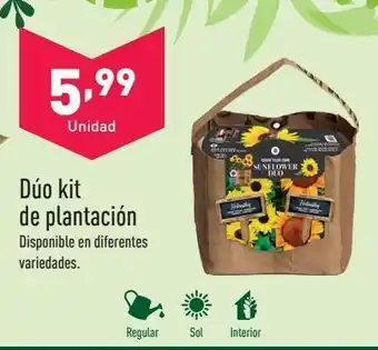 Huerto urbano