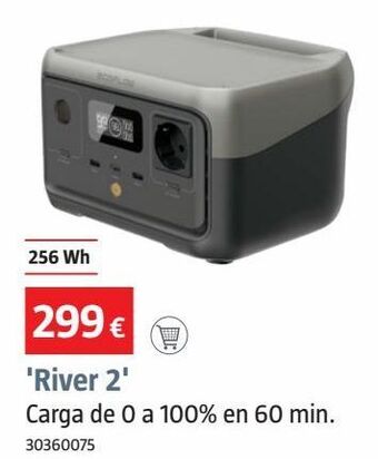 Bauhaus Generador oferta