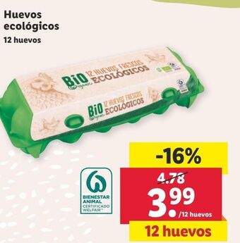 Lidl Huevos ecológicos oferta