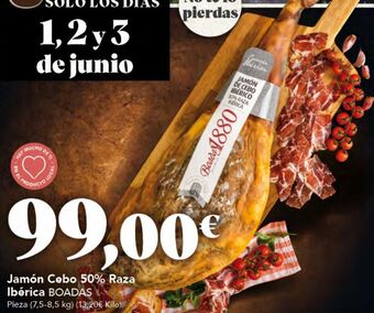 Gadis Jamón ibérico de cebo boadas oferta