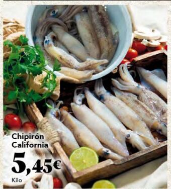 Gadis Chipirones oferta